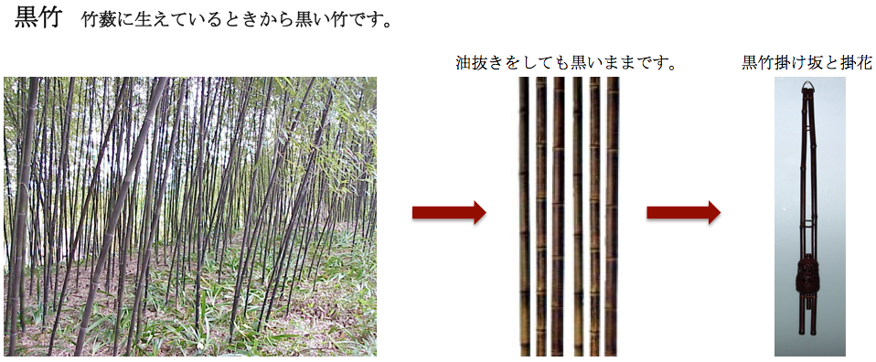 黒竹